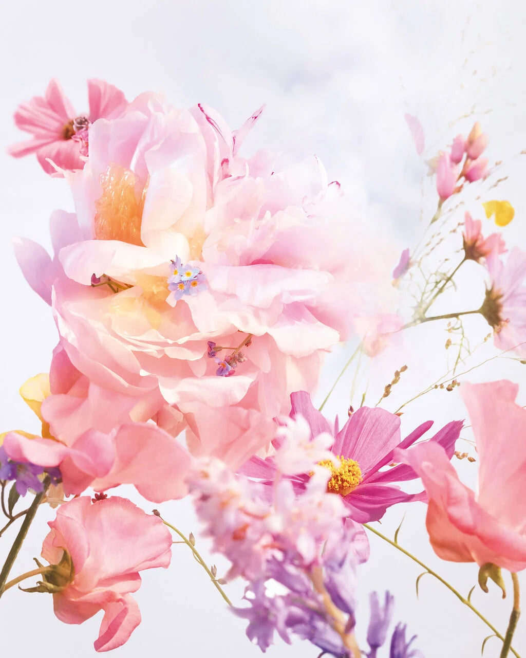 Miss Dior Blooming Bouquet — 20 ml