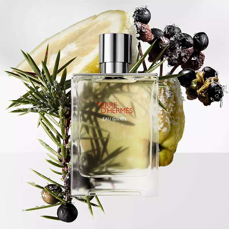 Terre d’Hermès Eau Givrée 200ML